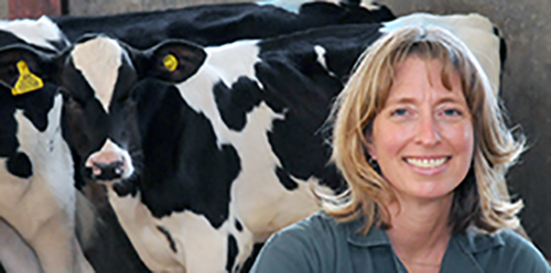 Kristen and cows at at the Vet School
